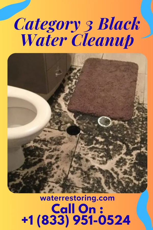 Category 3 Black Water Cleanup in Earlston, PA