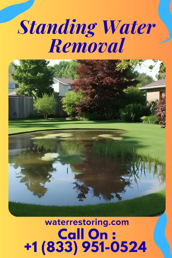 Standing Water Removal in Earlston, PA
